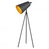 HausOfRex Lighting Rumori Matte Black Floorlamp