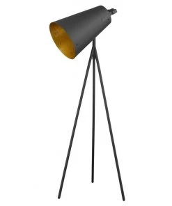 HausOfRex Lighting Rumori Matte Black Floorlamp