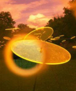 HausOfRex Looking Playing Loving Suncatcher Flower In Colorful Acrylic By The Artist René Hildebrand