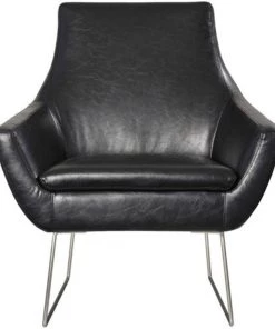HausOfRex Ken Lounge Chair In Black Living