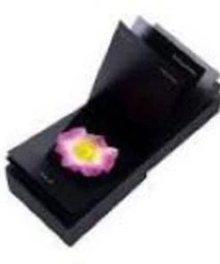 HausOfRex The Blooming Calendar A Flower A Day