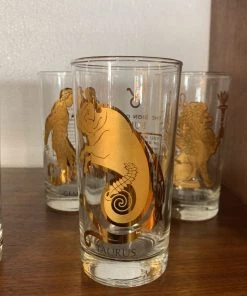 HausOfRex Dining Mid Century Zodiac Highball Glasses Set Of 12