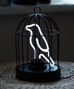 HausOfRex Looking Playing Loving Birdcage Lamp