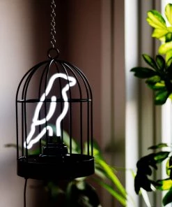 HausOfRex Looking Playing Loving Birdcage Lamp