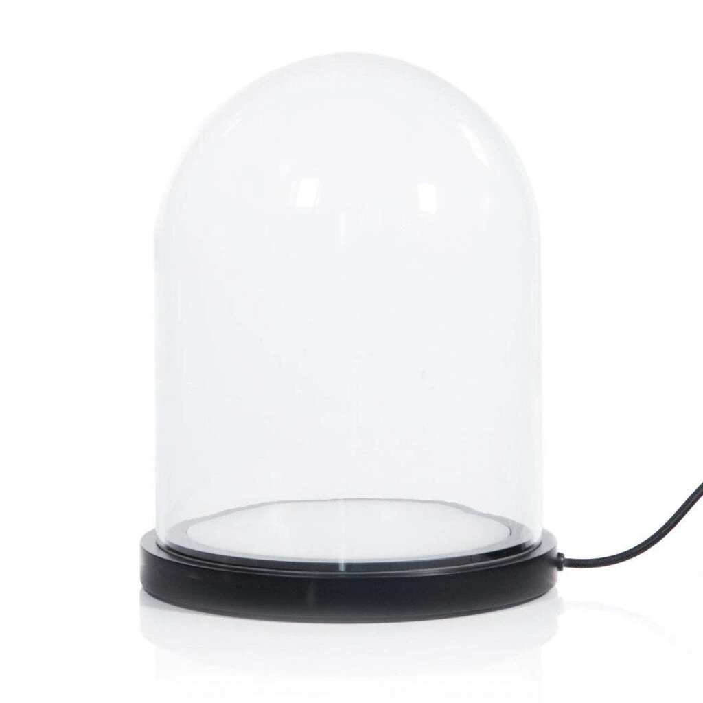 HausOfRex Looking Playing Loving Bell Jar Light 2 HausOfRex Looking Playing Loving Bell Jar Light