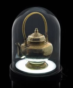 HausOfRex Looking Playing Loving Bell Jar Light 8 HausOfRex Looking Playing Loving Bell Jar Light