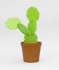 HausOfRex Looking Playing Loving Cactus Coasters (Bamboo)