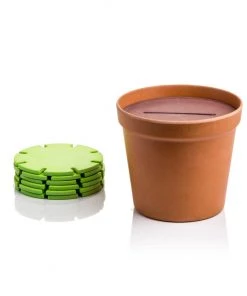 HausOfRex Looking Playing Loving Cactus Coasters (Bamboo)