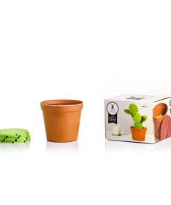 HausOfRex Looking Playing Loving Cactus Coasters (Bamboo)