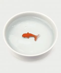 HausOfRex Fish Pet Bowl Looking Playing Loving