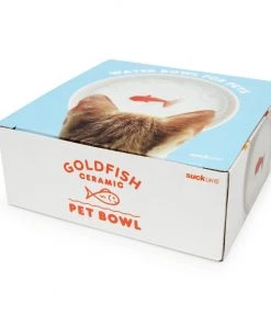 HausOfRex Fish Pet Bowl Looking Playing Loving