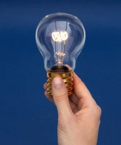 HausOfRex Looking Playing Loving Cordless Light Bulb