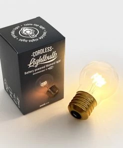 HausOfRex Looking Playing Loving Cordless Light Bulb