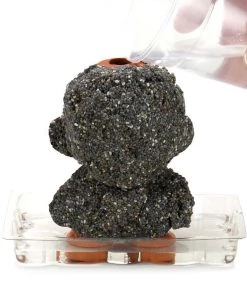 HausOfRex Looking Playing Loving Chia Pet Terracotta 5