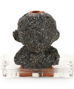 HausOfRex Looking Playing Loving Chia Pet Terracotta 5