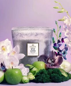 HausOfRex Voluspa Apple Blue Clover 5w Hearth Looking Playing Loving