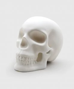 HausOfRex Skull Lamp Lighting