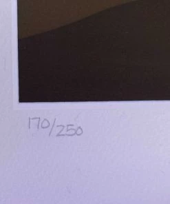 HausOfRex Victor Vasarely