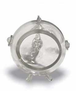 HausOfRex Blenko Small Fish Looking Playing Loving