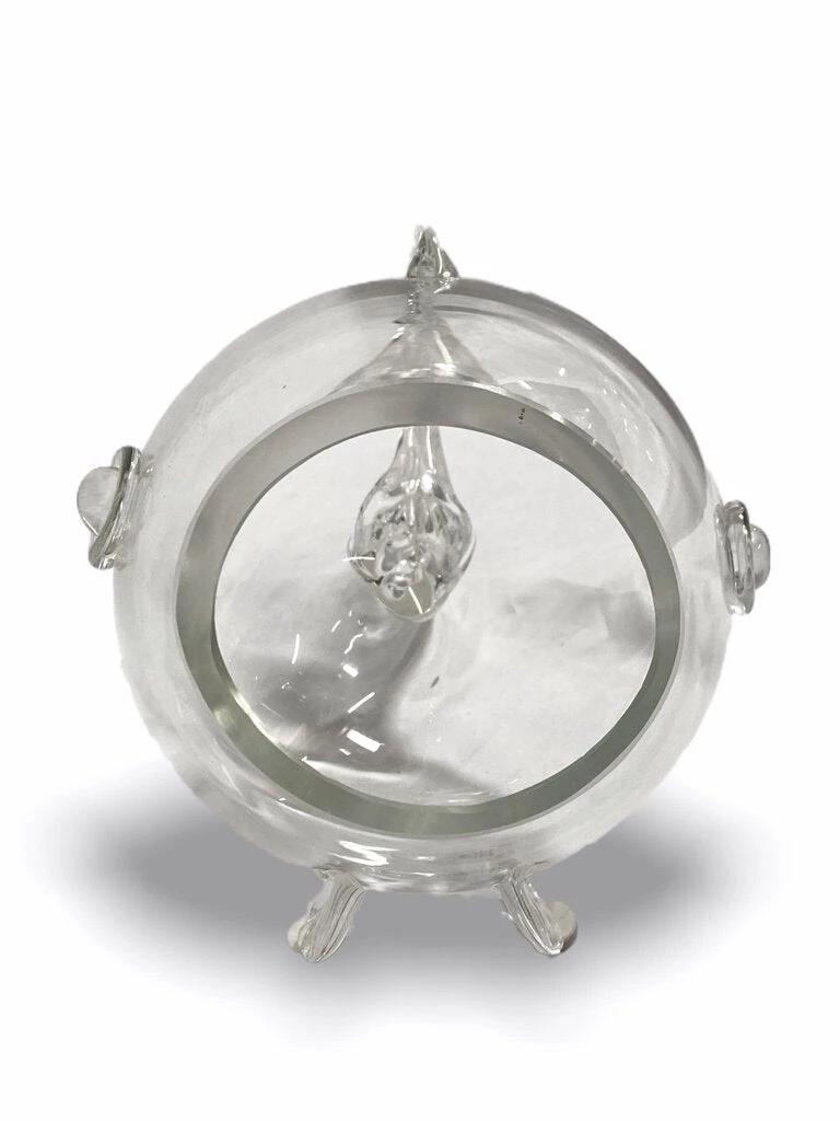 HausOfRex Blenko Small Fish Looking Playing Loving 2 HausOfRex Blenko Small Fish Looking Playing Loving