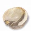 HausOfRex XL Petrified Wood Bowl/Ashtray