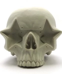 HausOfRex Star Skull By Ron English Looking Playing Loving