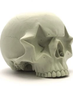 HausOfRex Star Skull By Ron English Looking Playing Loving