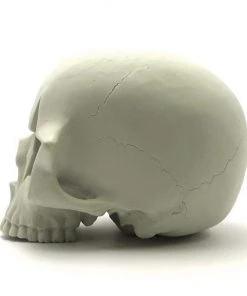 HausOfRex Star Skull By Ron English Looking Playing Loving 7 HausOfRex Star Skull By Ron English Looking Playing Loving