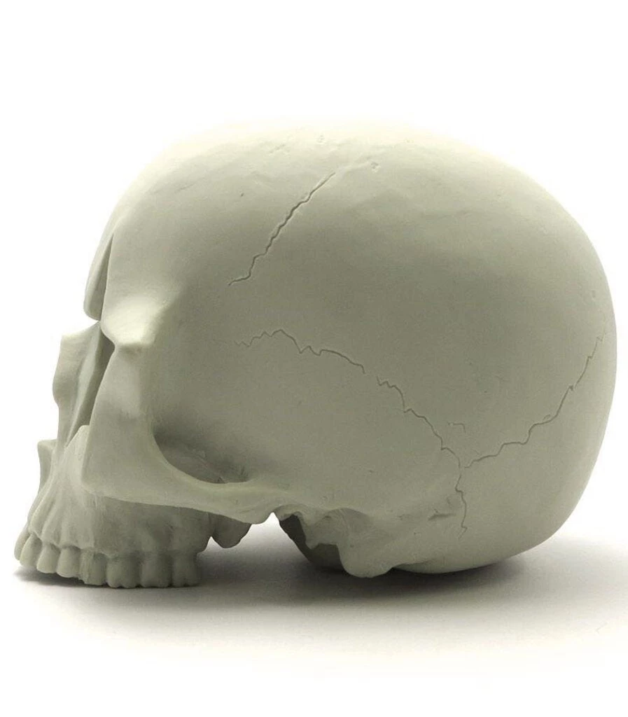 HausOfRex Star Skull By Ron English Looking Playing Loving 4 HausOfRex Star Skull By Ron English Looking Playing Loving