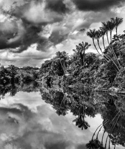 HausOfRex Reading Amazonia: Sebastiao Salgado 9 HausOfRex Reading Amazonia: Sebastiao Salgado