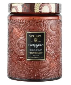HausOfRex Looking Playing Loving Voluspa Forbidden Fig 18oz Large Jar