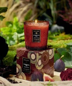 HausOfRex Voluspa Forbidden Fig 9oz Looking Playing Loving