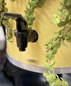 HausOfRex Looking Playing Loving Plant Percolator (with Trailing Crassula)