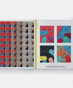 HausOfRex Reading PHAIDON KAWS, WHAT PARTY? BLACK ON PINK EDITION BROOKLYN MUSEUM