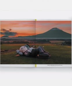 HausOfRex Reading PHAIDON KAWS, WHAT PARTY? BLACK ON PINK EDITION BROOKLYN MUSEUM