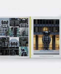 HausOfRex Reading PHAIDON KAWS, WHAT PARTY? BLACK ON PINK EDITION BROOKLYN MUSEUM