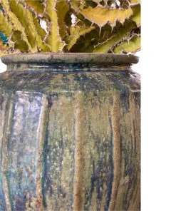 HausOfRex Living Terracotta Vessel W/ Cactus