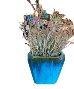 HausOfRex Terracotta Vessel W/ Plant Living