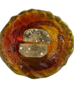 HausOfRex Blenko Orange Mid Century Bowl Looking Playing Loving