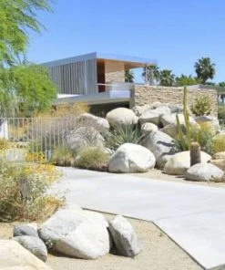 HausOfRex PALM SPRINGS : Mid-Century Modern Postcard Book Looking Playing Loving