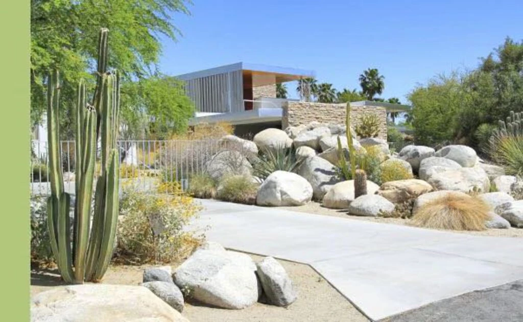 HausOfRex PALM SPRINGS : Mid-Century Modern Postcard Book Looking Playing Loving 2 HausOfRex PALM SPRINGS : Mid-Century Modern Postcard Book Looking Playing Loving