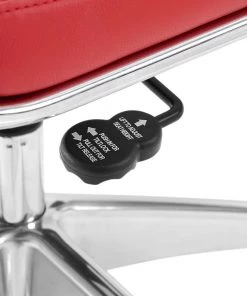 HausOfRex Living Modern Office Desk Chair