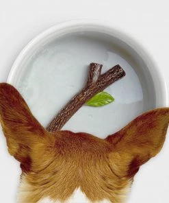 HausOfRex Looking Playing Loving Fetch Stick Dog Bowl