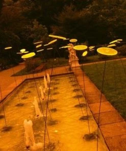 HausOfRex Looking Playing Loving Suncatcher Flower In Colorful Acrylic By The Artist René Hildebrand