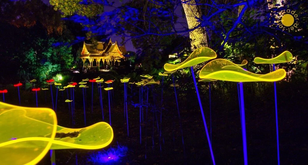 HausOfRex Suncatcher Flower In Colorful Acrylic By The Artist René Hildebrand 4 HausOfRex Suncatcher Flower In Colorful Acrylic By The Artist René Hildebrand