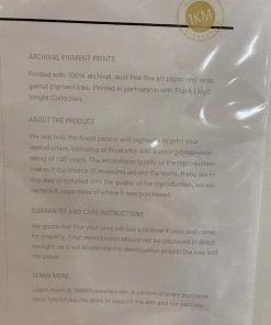 1000Museums: Saguaro Forms & Cactus Flowers. Liberty Magazine Wall Art By Frank Lloyd Wright Looking Playing Loving