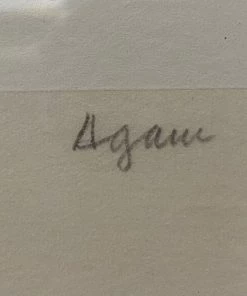 Looking Playing Loving Yaacov Agam, Metamorphosis III, Silkscreen Wall Art W/Acrylic Frame