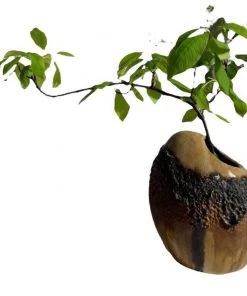 HausOfRex Vintage 1960s West German Fat Lava Studio Ceramic Vase