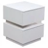 HausOfRex Modern 2 Drawer Accent Table