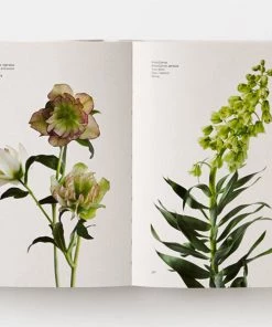 HausOfRex Flower Color Guide